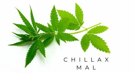 Chillax Mal Homepage