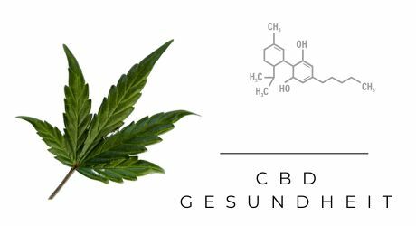CBD natürliches Mittel aus der Hanfpflanze
