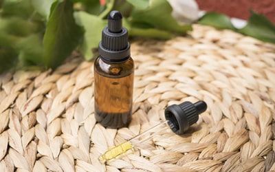 CBD Öl für Pferde
