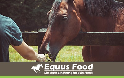 Equus-Food