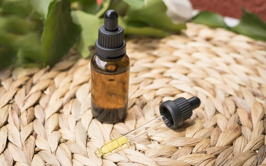 CBD Öl für Pferde – Natürliche Unterstützung für Gesundheit und Entspannung